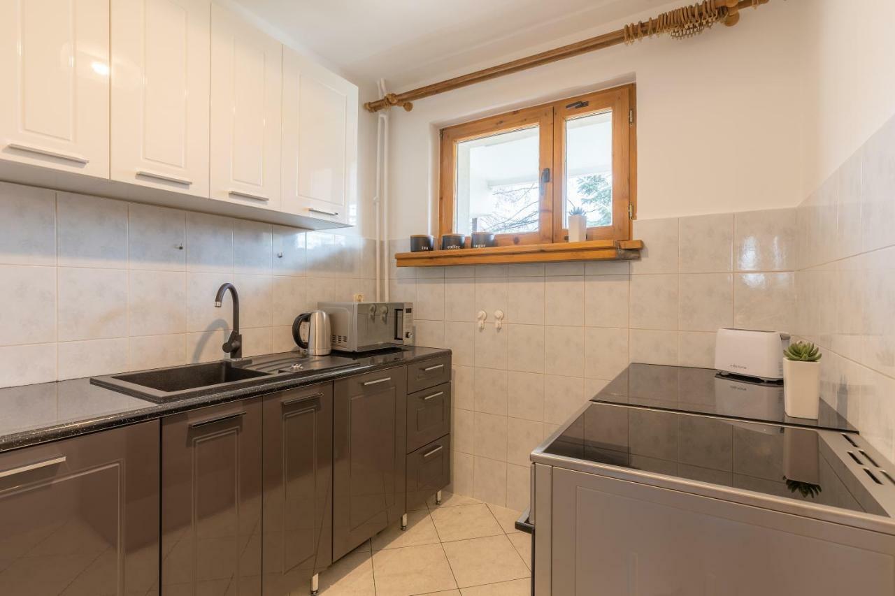 Apartament Lisowski Centrum Закопане Екстер'єр фото